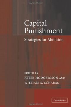 portada Capital Punishment: Strategies for Abolition (en Inglés)