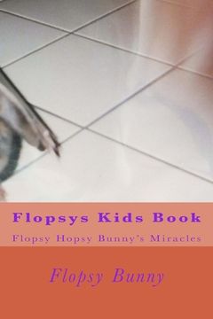 portada Flopsys Kids Book: Flopsy Hopsy Bunny's miracles