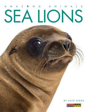 portada Amazing Animals: Sea Lions