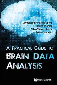 portada A Practical Guide to Brain Data Analysis (en Inglés)