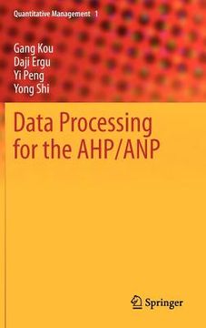 portada data processing for the ahp/anp