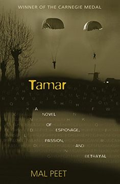 portada Tamar: A Novel of Espionage, Passion, and Betrayal (in English)