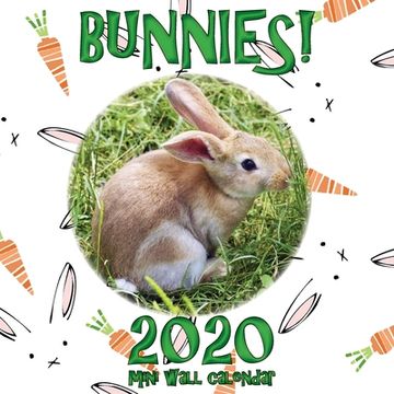 portada Bunnies! 2020 Mini Wall Calendar (en Inglés)