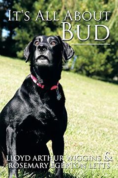 portada It's all About bud (en Inglés)