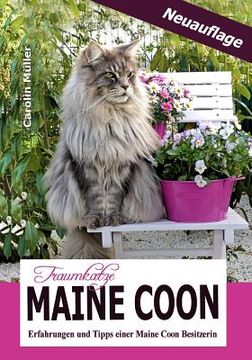 portada Traumkatze Maine Coon - Erfahrungen und Tipps einer Maine Coon Besitzerin (en Alemán)