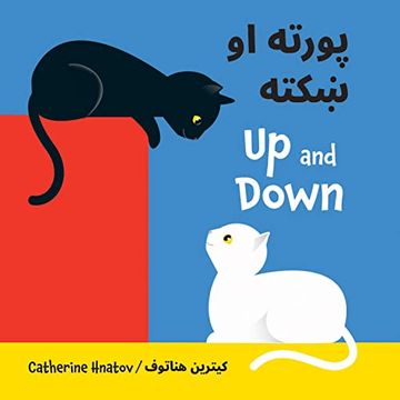 portada Up and Down (Pashto (en Inglés)