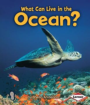 portada What can Live in the Ocean? (en Inglés)