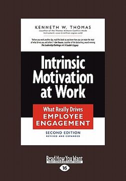 portada intrinsic motivation at work: what really drives employee engagement (large print 16pt) (en Inglés)