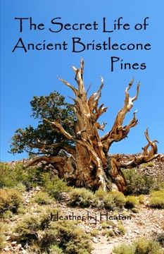 portada The Secret Life of Ancient Bristlecone Pines: Book One of the Secret Life Series: Volume 1 (in English)