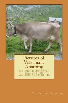 portada Pictures of Veterinary Anatomy: A short illustrated anatomy for veterinary students