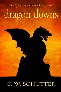 portada Dragon Downs: Book Two - School of Shadows (in English)