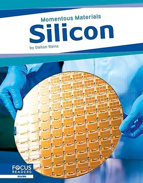 portada Silicon (in English)