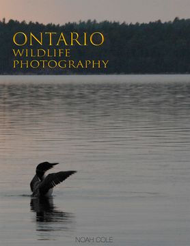 portada Ontario Wildlife Photography (en Inglés)