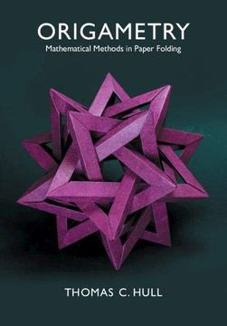 portada Origametry: Mathematical Methods in Paper Folding (en Inglés)