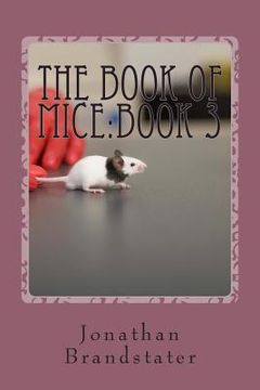 portada The Book of Mice: Book 3: The Punk rats! (en Inglés)