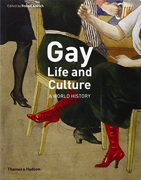 portada Gay Life and Culture (Paperback)