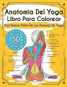 portada Anatomía del Yoga Libro Para Colorear: Una Nueva Visión de las Posturas de Yoga