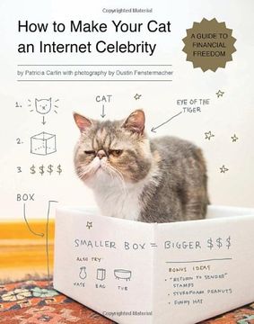 portada How to Make Your cat an Internet Celebrity: A Guide to Financial Freedom (in English)