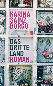 portada Das Dritte Land: Roman (en Alemán)