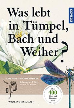 portada Was Lebt in Tümpel, Bach und Weiher?