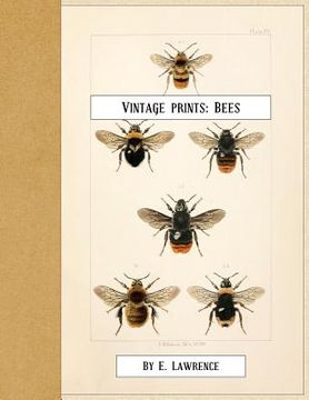 portada Vintage Prints: Bees (in English)
