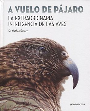 portada A Vuelo de Pajaro la Extraordinaria Inteligencia de las Aves (in Spanish)