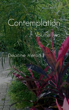 portada Contemplation: Volume two (in English)