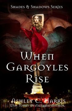 portada When Gargoyles Rise (in English)