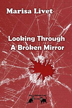 portada Looking Through a Broken Mirror (en Inglés)