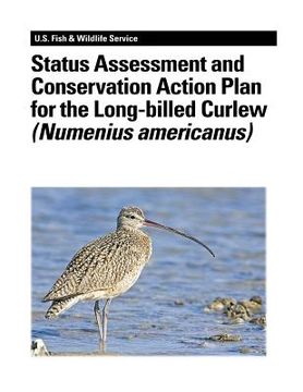 portada Status Assessment and Conservation Action Plan for the Long-billed Curlew (Numenius americanus) (en Inglés)