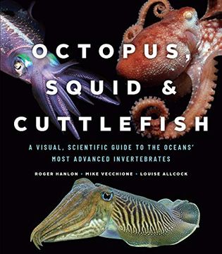 portada Octopus, Squid, and Cuttlefish: A Visual, Scientific Guide to the Oceans Most Advanced Invertebrates (en Inglés)