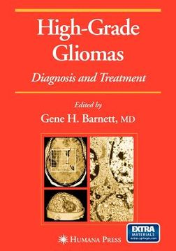 portada high-grade gliomas: diagnosis and treatment (en Inglés)