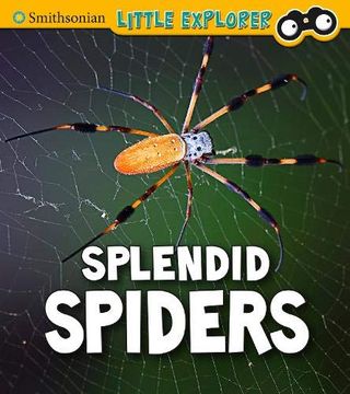 portada Splendid Spiders (Insect Explorer) (en Inglés)