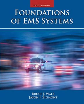 portada Foundations of ems Systems (en Inglés)