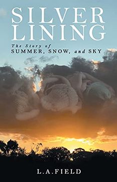 portada Silver Lining: The Story of Summer, Snow, and sky (en Inglés)