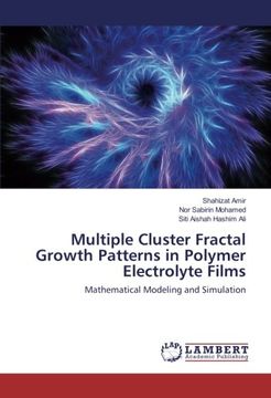 portada Multiple Cluster Fractal Growth Patterns in Polymer Electrolyte Films: Mathematical Modeling and Simulation