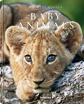 portada Baby Animals. Ediz. Inglese, Tedesca e Francese (en Inglés)