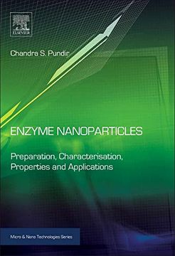 portada Enzyme Nanoparticles (Micro and Nano Technologies) (en Inglés)