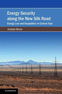portada Energy Security Along the new Silk Road: Energy law and Geopolitics in Central Asia (Cambridge Studies on Environment, Energy and Natural Resources Governance) (in English)