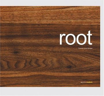 portada Root: Avedition Rockets (in English)