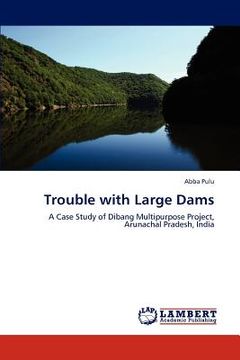 portada trouble with large dams (en Inglés)