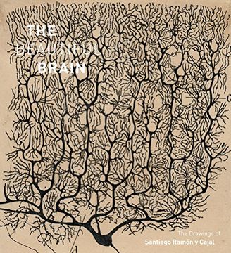 portada Beautiful Brain: The Drawings of Santiago Ramon y Cajal (in English)