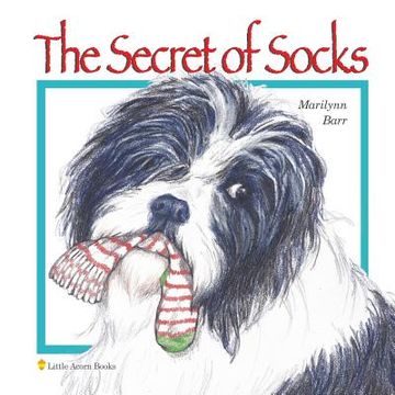 portada The Secret of Socks (en Inglés)