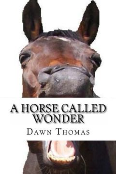 portada A Horse called Wonder: Hollygrove Country Estate Seies (Volume 1)