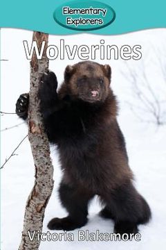 portada Wolverines (en Inglés)