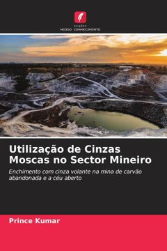 portada Utilização de Cinzas Moscas no Sector Mineiro (en Portugués)