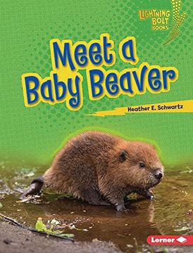 portada Meet a Baby Beaver (Lightning Bolt Books ® ― Baby North American Animals) (in English)