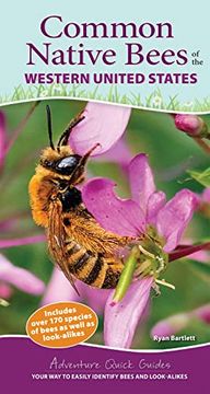 portada Common Native Bees of the Western United States: Your way to Easily Identify Bees and Look-Alikes (Adventure Quick Guides) (en Inglés)
