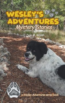 portada Wesley's Adventures: Mystery Stories (Wesley's Adventure Stories) (in English)