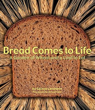 portada Bread Comes to Life: A Garden of Wheat and a Loaf to eat (en Inglés)